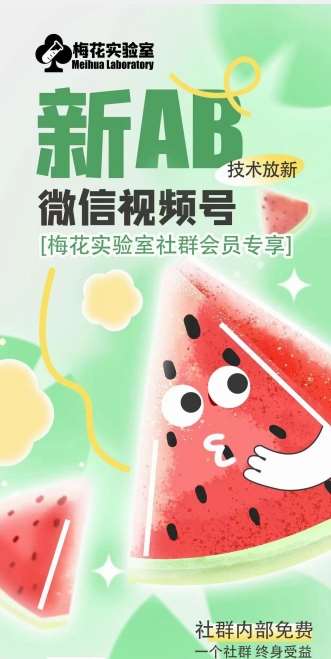 梅花实验室2024年AB技术视频号AB合成破解版-问小徐资源库