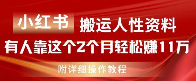 小红书搬运人性资料，有人靠这个2个月轻松赚11w，附教程【揭秘】-问小徐资源库