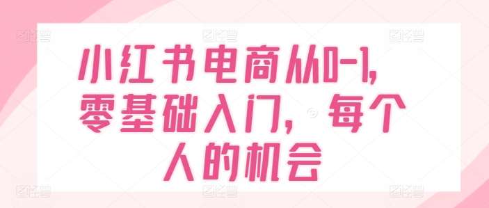 小红书电商从0-1，零基础入门，每个人的机会-问小徐资源库