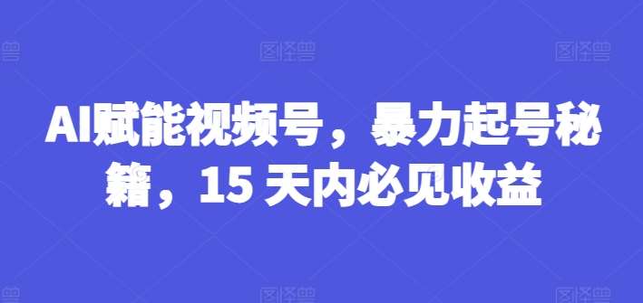 AI赋能视频号，暴力起号秘籍，15 天内必见收益【揭秘】-问小徐资源库