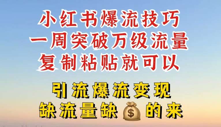 小红书爆流技巧，一周突破万级流量，复制粘贴就可以，引流爆流变现【揭秘】-问小徐资源库