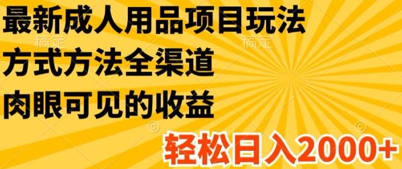 最新成人用品项目玩法，方式方法全渠道，轻松日入2K+【揭秘】-问小徐资源库
