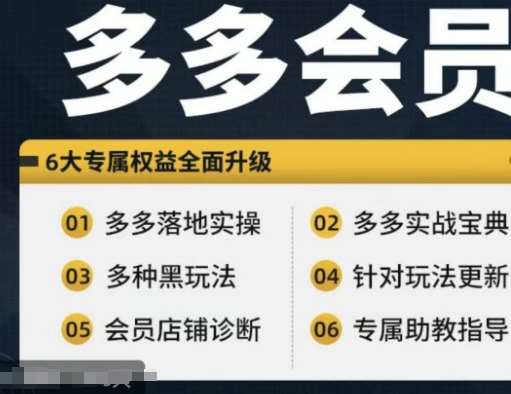 拼多多会员，拼多多实战宝典+实战落地实操，从新手到高阶内容全面覆盖-问小徐资源库