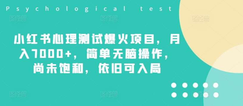 小红书心理测试爆火项目，月入7000+，简单无脑操作，尚未饱和，依旧可入局-问小徐资源库