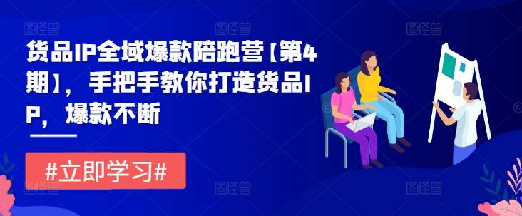 货品IP全域爆款陪跑营【第4期】，手把手教你打造货品IP，爆款不断-问小徐资源库