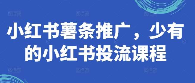 小红书薯条推广，少有的小红书投流课程-问小徐资源库