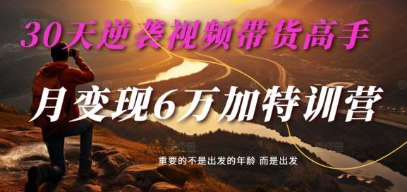 30天逆袭视频带货高手，单月变现6万加特训营-麦子甜-问小徐资源库