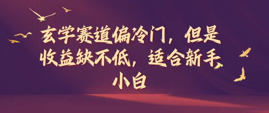 玄学赛道偏冷门，但是收益缺不低，适合新手小白【揭秘】-问小徐资源库