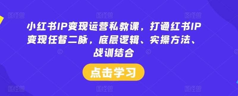 小红书IP变现运营私教课，打通红书IP变现任督二脉，底层逻辑、实操方法、战训结合-问小徐资源库