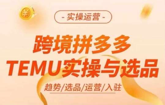 跨境拼多多TEMU实操与选品，多多temu跨境选品运营实操-问小徐资源库