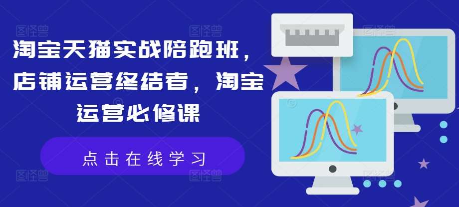 淘宝天猫实战陪跑班，店铺运营终结者，淘宝运营必修课-问小徐资源库