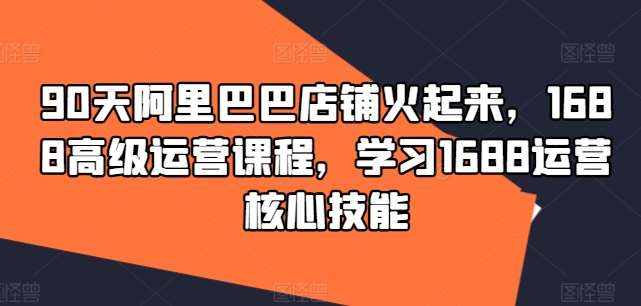 90天阿里巴巴店铺火起来，1688高级运营课程，学习1688运营核心技能-问小徐资源库