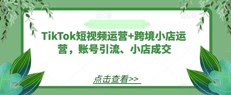TikTok短视频运营+跨境小店运营，账号引流、小店成交-问小徐资源库