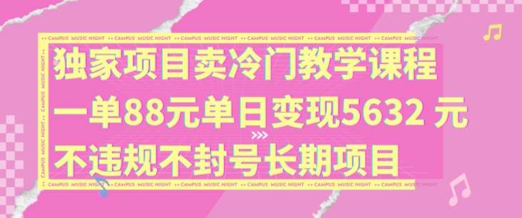独家项目卖冷门教学课程一单88元单日变现5632元违规不封号长期项目【揭秘】-问小徐资源库