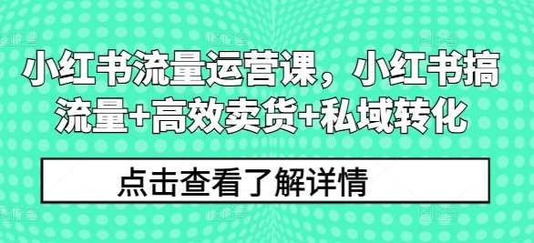 小红书流量运营课，小红书搞流量+高效卖货+私域转化-问小徐资源库