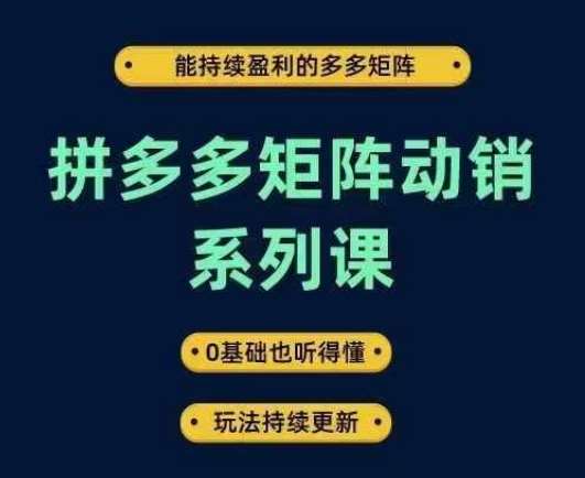 拼多多矩阵动销系列课，能持续盈利的多多矩阵，0基础也听得懂，玩法持续更新-问小徐资源库