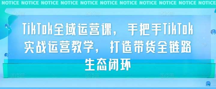TikTok全域运营课，手把手TikTok实战运营教学，打造带货全链路生态闭环-问小徐资源库