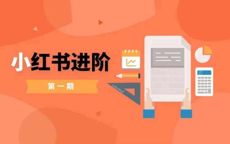 小红书进阶篇，零基础小白实战课，普通人变现的课程-问小徐资源库