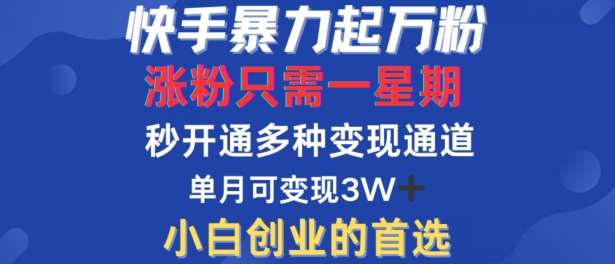 快手暴力起万粉，涨粉只需一星期，多种变现模式，直接秒开万合，单月变现过W【揭秘】-问小徐资源库