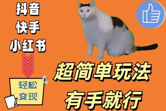 超简单玩法，有手就行，靠猫咪视频日入500+【揭秘】-问小徐资源库