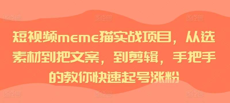 短视频meme猫实战项目，从选素材到把文案，到剪辑，手把手的教你快速起号涨粉-问小徐资源库