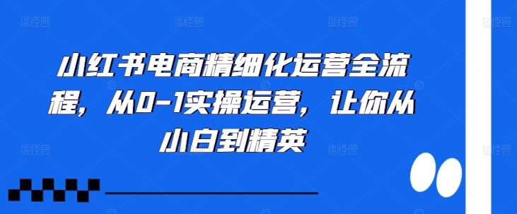 小红书电商精细化运营全流程，从0-1实操运营，让你从小白到精英-问小徐资源库