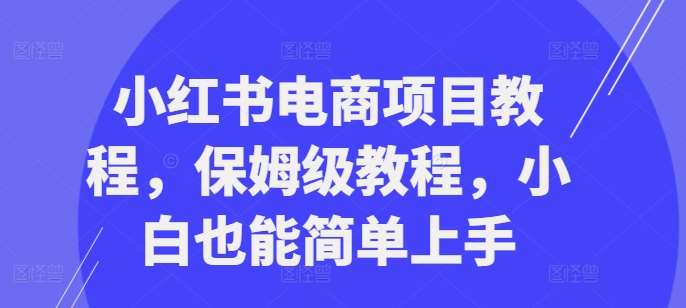 小红书电商项目教程，保姆级教程，小白也能简单上手-问小徐资源库