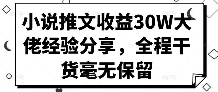 小说推文收益30W大佬经验分享，全程干货毫无保留-问小徐资源库