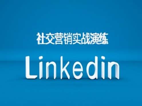 社交营销实战演练之Linkedin营销课程，B2B跨境外贸的新出路-问小徐资源库