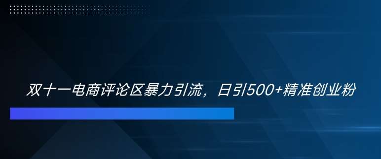 双十一电商评论区暴力引流，日引500+精准创业粉【揭秘】-问小徐资源库