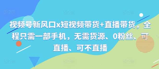 视频号新风口x短视频带货+直播带货，全程只需一部手机，无需货源、0粉丝、可直播、可不直播-问小徐资源库