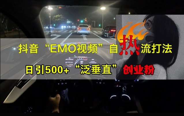 抖音EMO视频自热打法，日引500+“泛垂直”创业粉-问小徐资源库