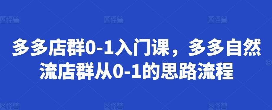 多多店群0-1入门课，多多自然流店群从0-1的思路流程-问小徐资源库