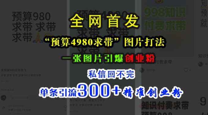 小红书“预算4980带我飞”图片打法，一张图片引爆创业粉，私信回不完，单条引流300+精准创业粉-问小徐资源库