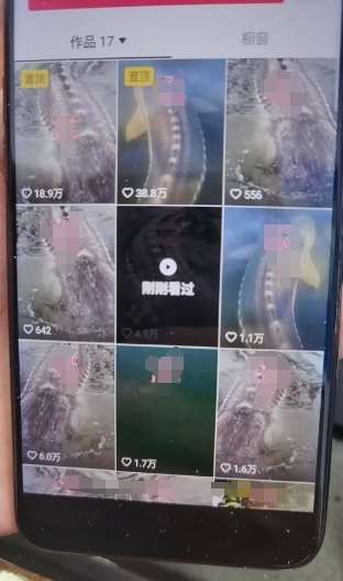 图片[2]-外面卖399的国学佛像原创暴力起号技术，快速起号，7天可达到一个万粉号-问小徐资源库