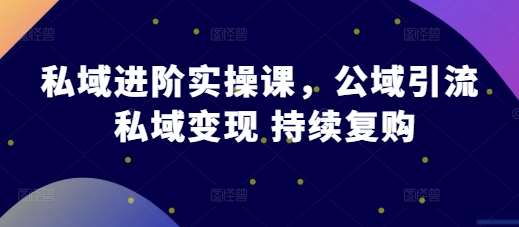 私域进阶实操课，公域引流 私域变现 持续复购-问小徐资源库