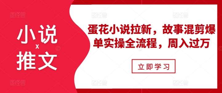 小说推文之蛋花小说拉新，故事混剪爆单实操全流程，周入过万-问小徐资源库