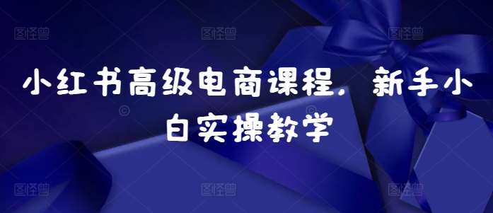 小红书高级电商课程，新手小白实操教学-问小徐资源库