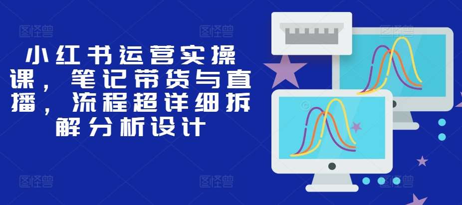 小红书运营实操课，笔记带货与直播，流程超详细拆解分析设计-问小徐资源库
