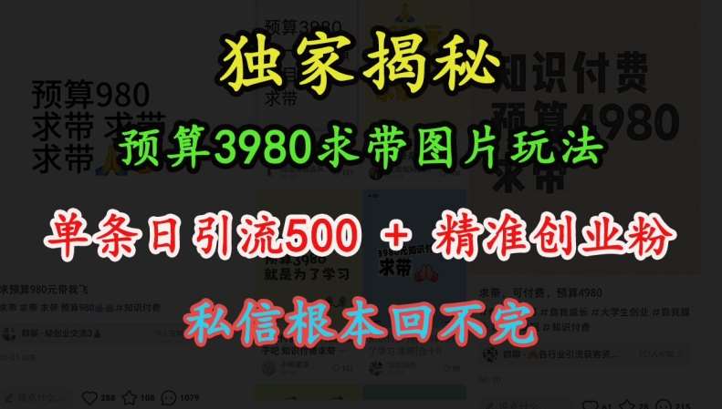预算3980求带 图片玩法，单条日引流500+精准创业粉，私信根本回不完-问小徐资源库