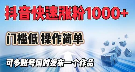 抖音快速涨1000+粉，门槛低操作简单，可多账号同时发布一个作品-问小徐资源库