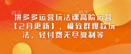 拼多多运营玩法课高阶运营【2月更新】，极致群爆款玩法，轻付费无尽复制等-问小徐资源库