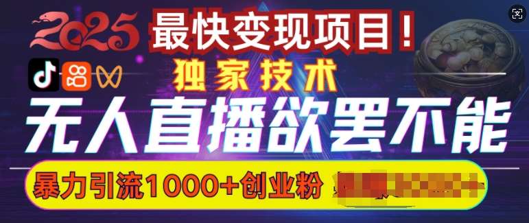 欲罢不能的无人直播引流，超暴力日引流1000+高质量精准创业粉-问小徐资源库