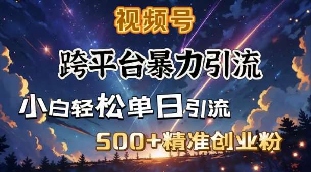 跨平台暴力引流，私域完美闭环，日引500+精准创业粉-问小徐资源库