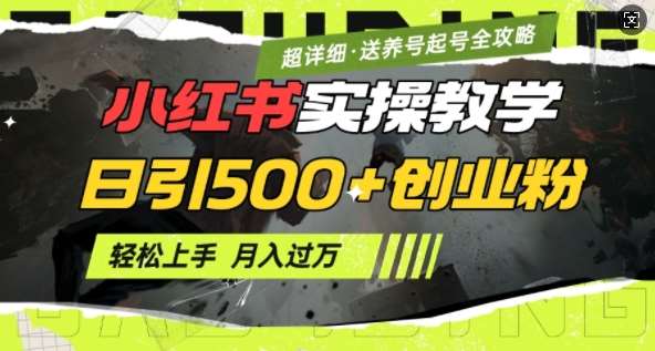 2月小红书最新日引500+创业粉实操教学【超详细】小白轻松上手，月入1W+，附小红书养号起号SOP-问小徐资源库
