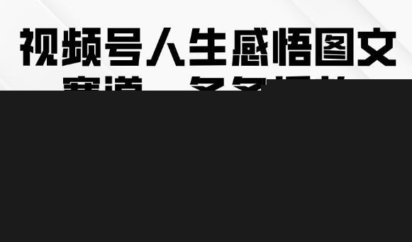 视频号人生感悟图文赛道，条条播放10w+，这个方法做视频号太牛了-问小徐资源库