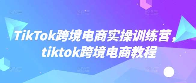 TikTok跨境电商实操训练营，tiktok跨境电商教程-问小徐资源库