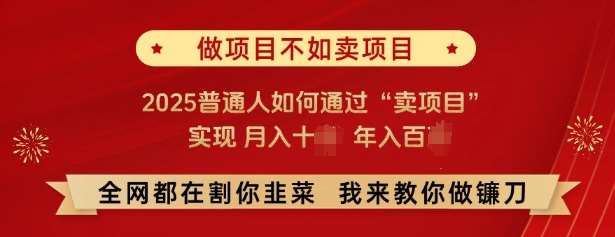 必看，做项目不如卖项目，2025普通人如何通过“卖项目”实现月入十个，年入百个-问小徐资源库