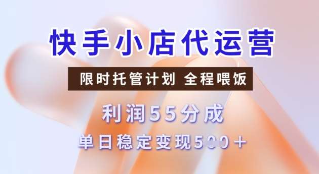 快手小店代运营3.0，模式新升级，收益55分，稳定单日5张【揭秘】-问小徐资源库