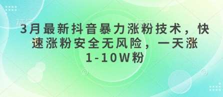 3月最新抖音暴力涨粉技术，快速涨粉安全无风险，一天涨1-10W粉-问小徐资源库